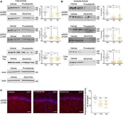5-HT4 receptor agonists treatment reduces tau pathology and behavioral deficit in the PS19 mouse model of tauopathy